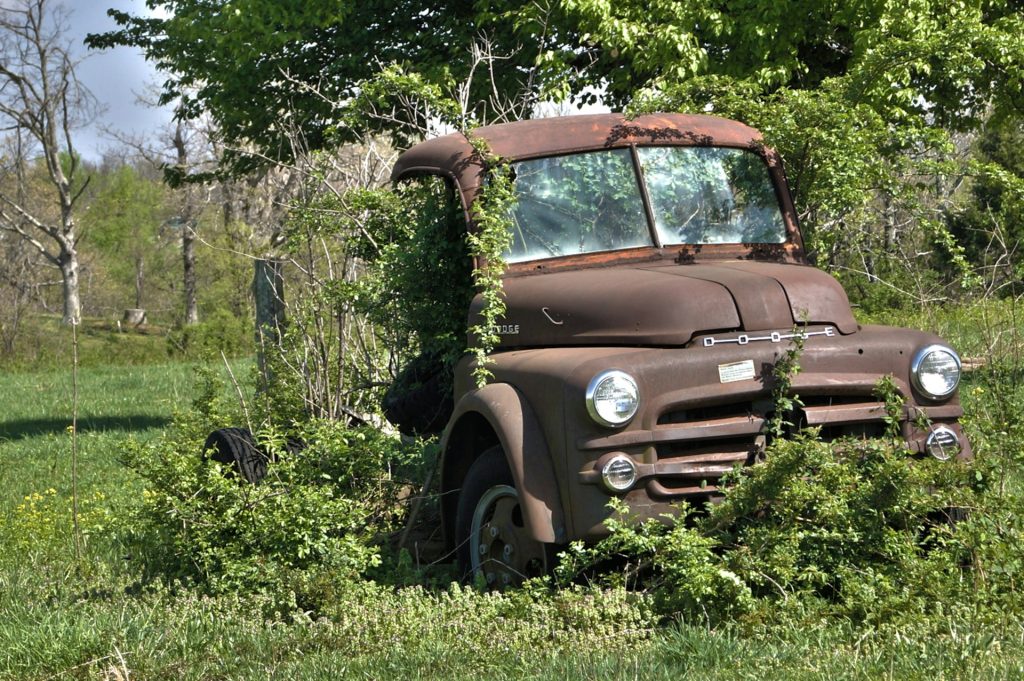 old truck in the forest